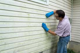 Affordable Siding Repair and Maintenance Services in Weedpatch, CA